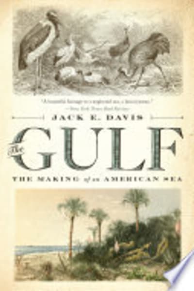 The Gulf by Jack E. Davis — book cover