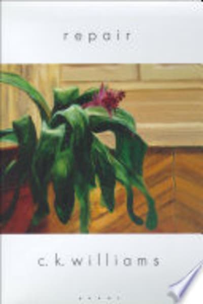 Repair by C. K. Williams — book cover