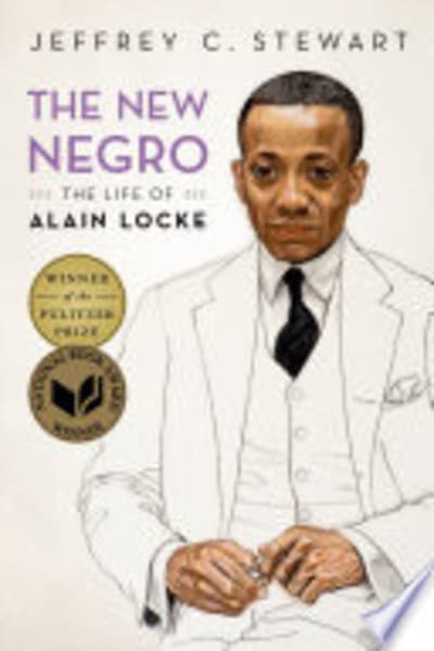 The New Negro: The Life of Alain Locke by Jeffrey C. Stewart — book cover