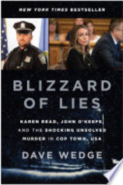 Blizzard of Lies by Dave Wedge — book cover