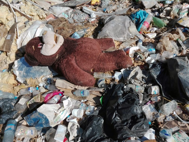Pollution Kills — VirGinie