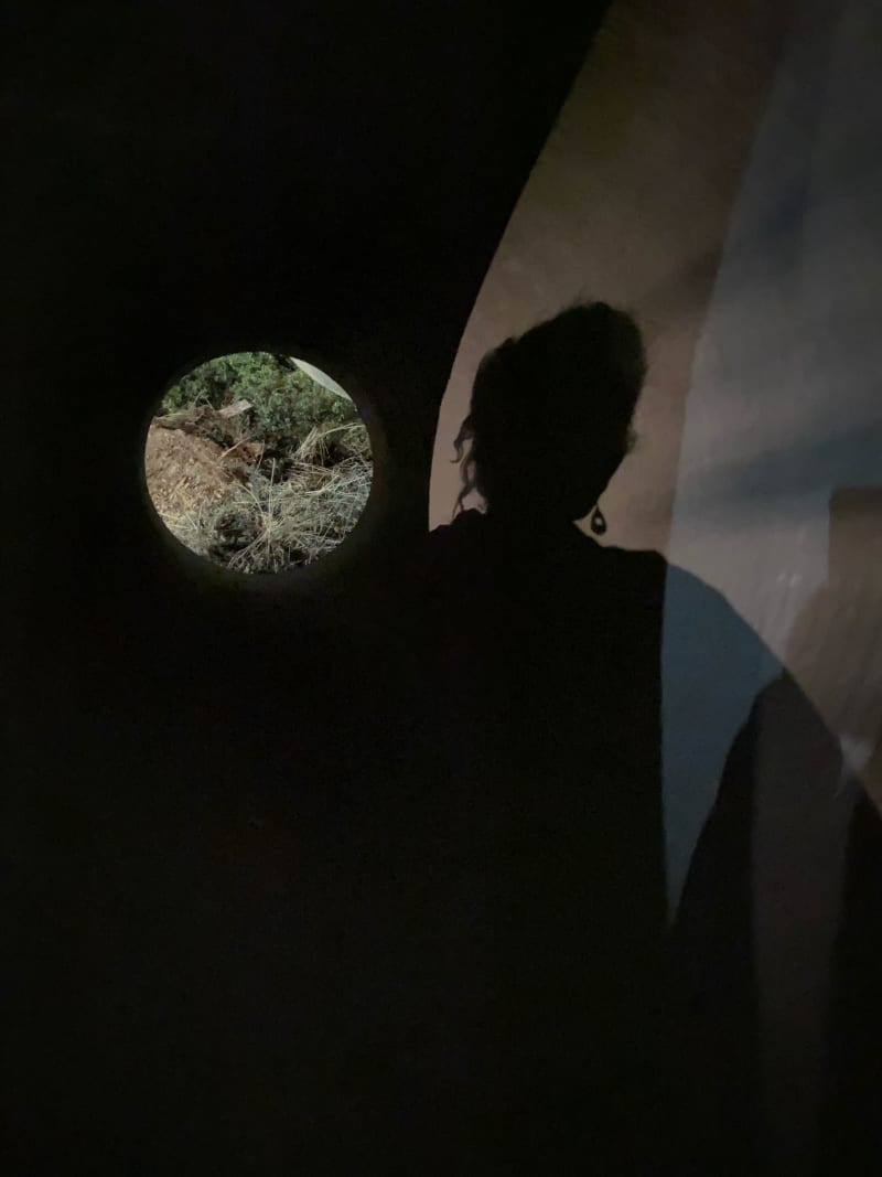 VirGinie — Mirror Mokili
