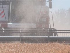 Итоги работы фермеров Целинского района за 2024 год