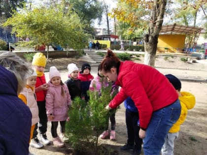 В школах и детсадах Таганрога проходят субботники