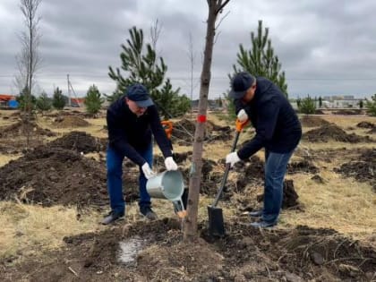 В Ростове-на-Дону заложили новый парк в микрорайоне «Новый Ростов»