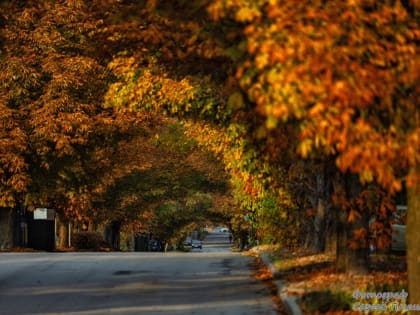 Прогноз погоды на 3 ноября в Таганроге