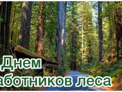 Поздравляем с Днем работников лесного хозяйства