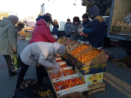 В Волгодонске назвали даты проведения ярмарок свежих продуктов