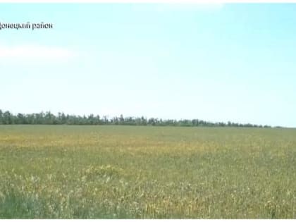 Государственная поддержка в агропромышленном комплексе