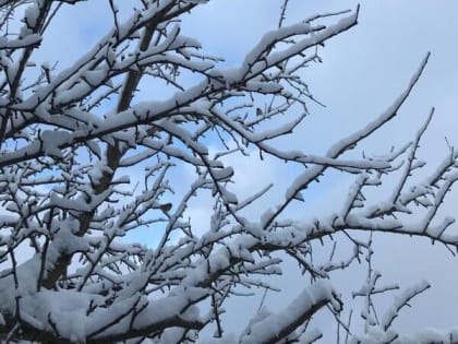 Хмурое небо и легкий снежок ждут шахтинцев