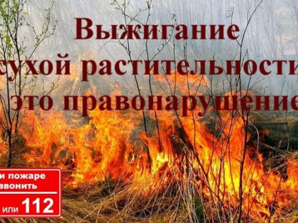 О запрете выжигания  сухой растительности