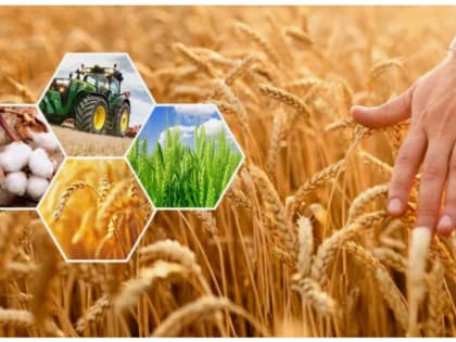 Предприятия АПК района стабильно развиваются