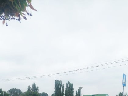 Чтобы путь в школу стал безопасней