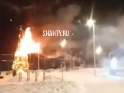 Сгорела городская елка из-за фейерверка в новогоднюю ночь