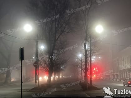 В Новочеркасске в конце недели ожидаются дожди, туманы и штормовой ветер