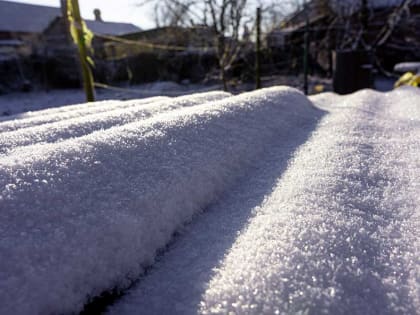 Погода в Целинском районе: февраль начнется температурными качелями