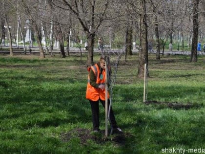 9 апреля в Шахтах пройдет День древонасаждений