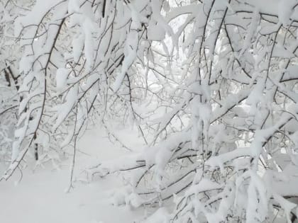 Старый Новый год принесет снегопад и потепление в Шахты