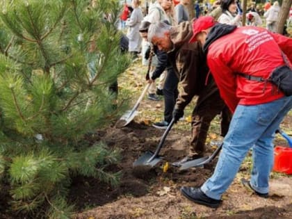 Глава администрации Ростова Алексей Логвиненко принял участие в высадке Аллеи Патриотов