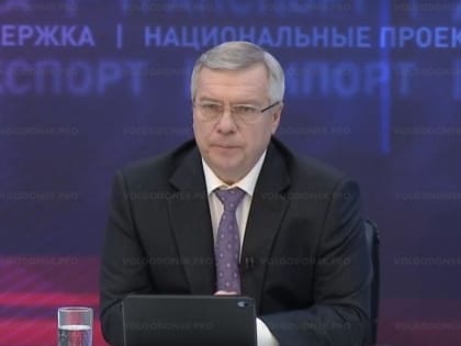 В ходе пресс-конференции Василий Голубев рассказал о перспективах с новым мостом и аэропорте