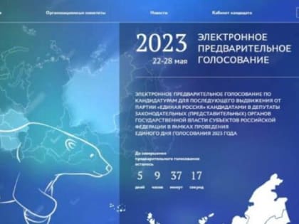 Более 135 тысяч жителей Ростовской области приняли участие в предварительном голосовании партии “Единая Россия”