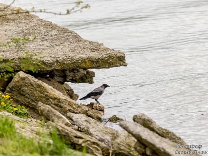 Погода в Таганроге 18 мая: тепло и немного ветрено