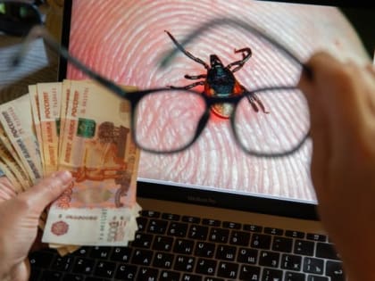 С чем связан рост спроса на страхование от энцефалита и почему расширилась география таких обращений