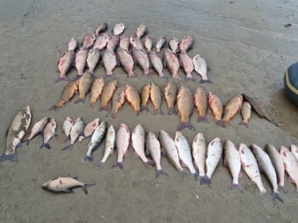 В Волгодонске задержали браконьеров с уловом на 200 тысяч рублей