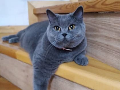 Жаркие и ветреные выходные обещают шахтинцам