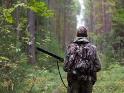 На Кубани пенсионер случайно застрелил мужчину в лесу во время охоты на медведя