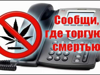 ОКОН информирует о проведении Всероссийской акции «Сообщи, где торгуют смертью»