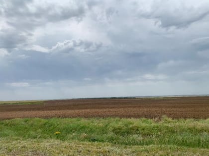 Небольшой дождь ожидается в Волгодонске сегодня