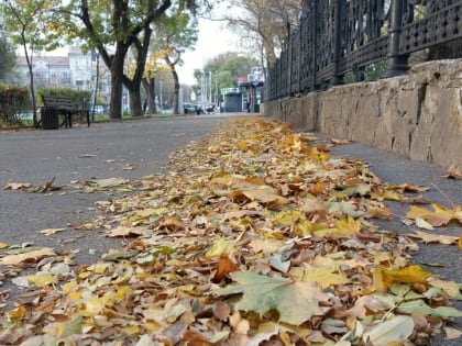 Погода в Таганроге 12 ноября: ветрено, обещают дождь