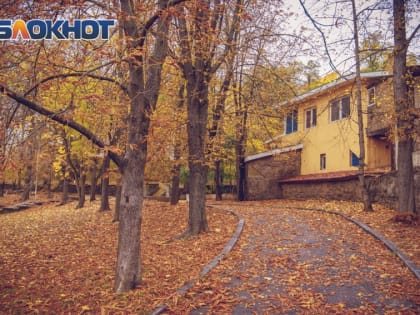 Потепление ожидается в Ростове на следующей неделе