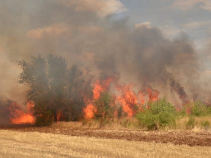 В Ремонтненском районе введен особый противопожарный режим