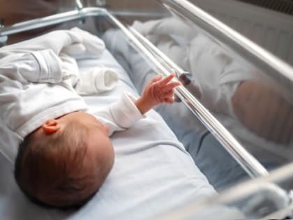 Специалисты ЮФУ объяснили причины резкого спада рождаемости в Ростовской области