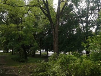 Платформа обратной связи помогает решать проблемы в Таганроге