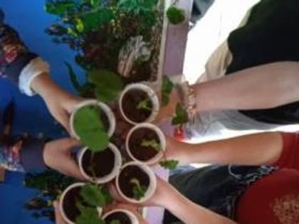 Путешествие в мир природы