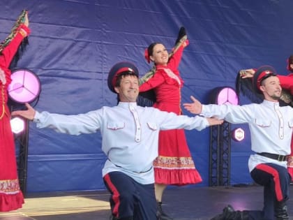 Решения Совета по культуре и искусству: видеорепортаж ДонТр