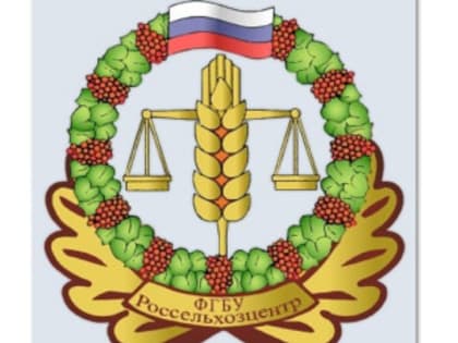 Угроза для сельского хозяйства Ростовской области: паслён колючий