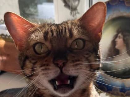 Сильный ветер и солнце обещают шахтинцам