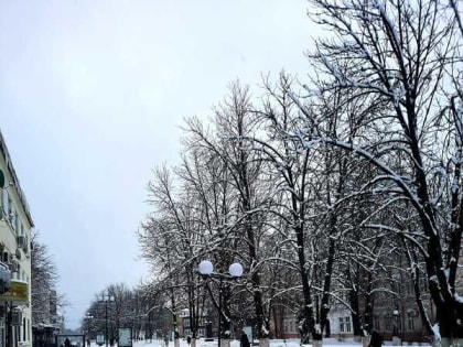 Снежно и ветрено будет в Шахтах