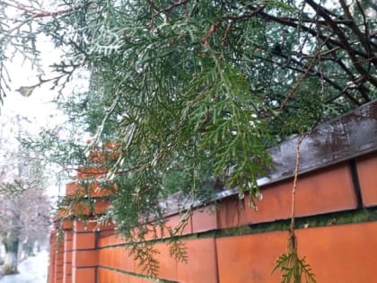 Начало последней рабочей недели декабря в Шахтах будет теплым и дождливым