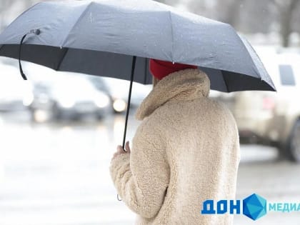 Мокрый снег с дождем ожидается в Ростове в последний день января