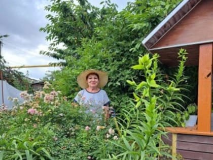 Конкурс «Лучший дворик» в Семикаракорском районе