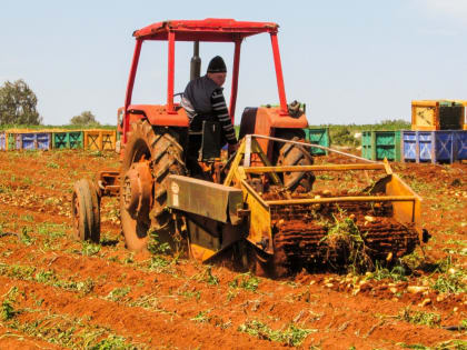 Аналитики назвали самые высокооплачиваемые профессии в Ростовской области в сентябре