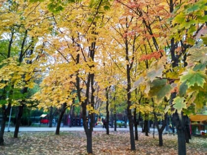 Погода в Таганроге 29 октября: малооблачно, +18°, без осадков