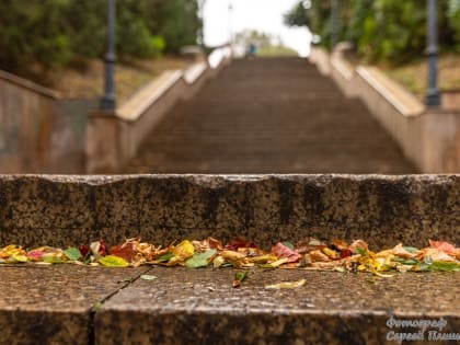 Погода в Таганроге 28 октября: дождь и сильный ветер