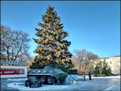 На площади Победы Новый год будем встречать по-новому — с живой ёлкой