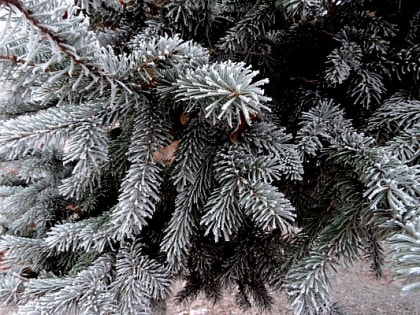 В Ростовской области в феврале может похолодать до минус 19 градусов